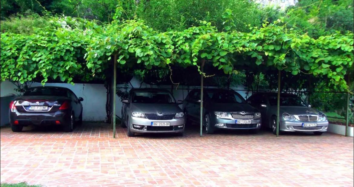 Carine Garden Διαμέρισμα Risan Εξωτερικό φωτογραφία