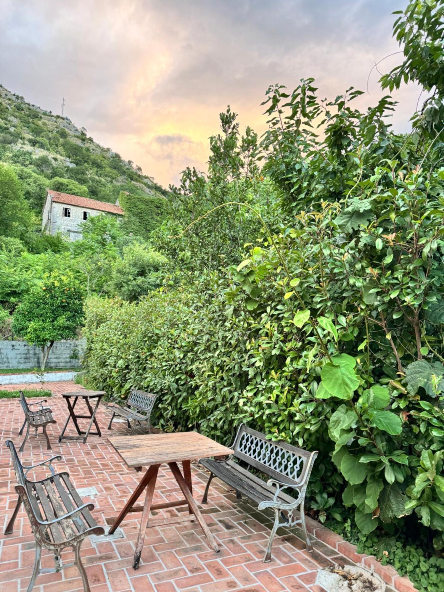 Carine Garden Διαμέρισμα Risan Εξωτερικό φωτογραφία