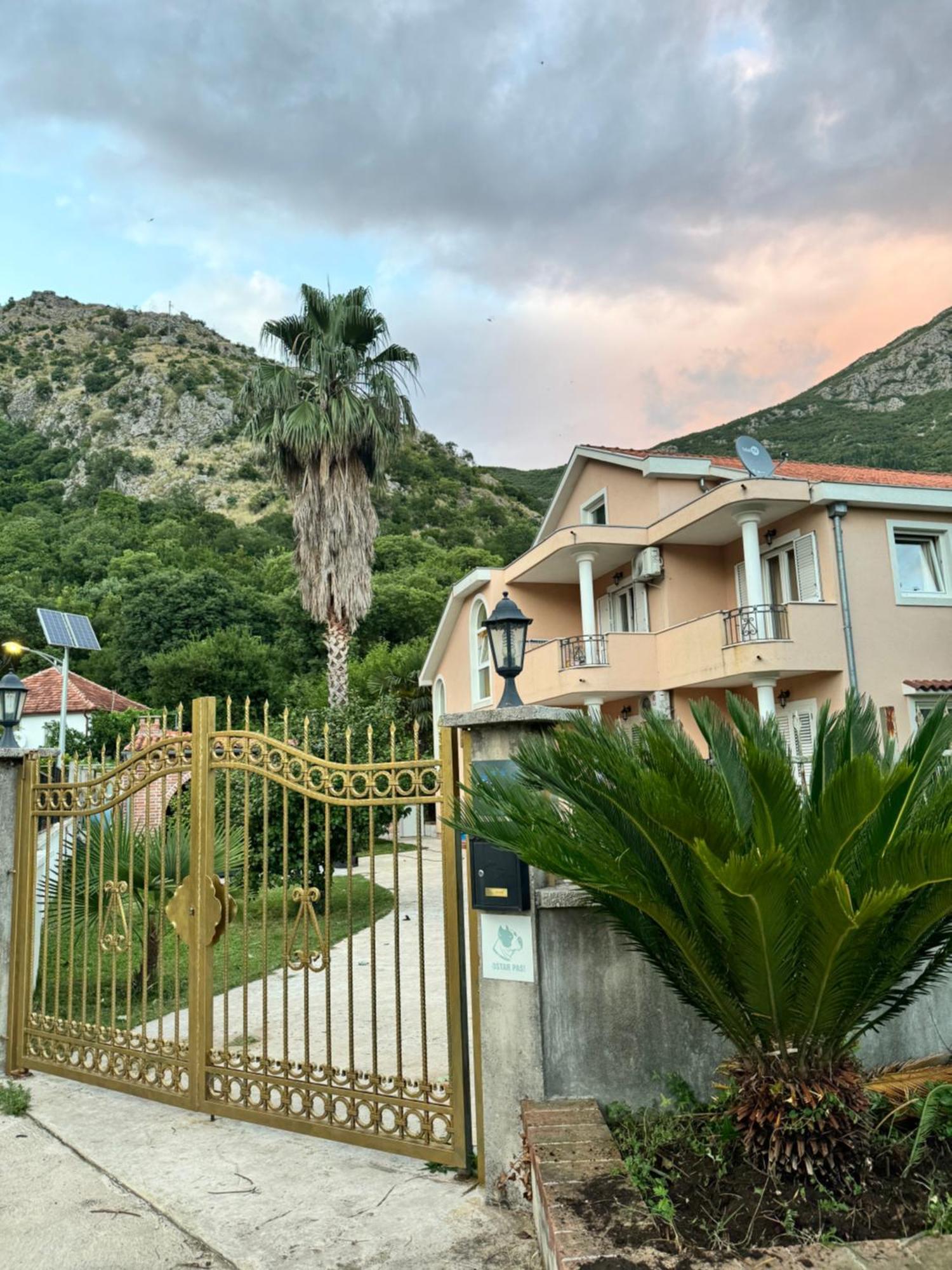 Carine Garden Διαμέρισμα Risan Εξωτερικό φωτογραφία