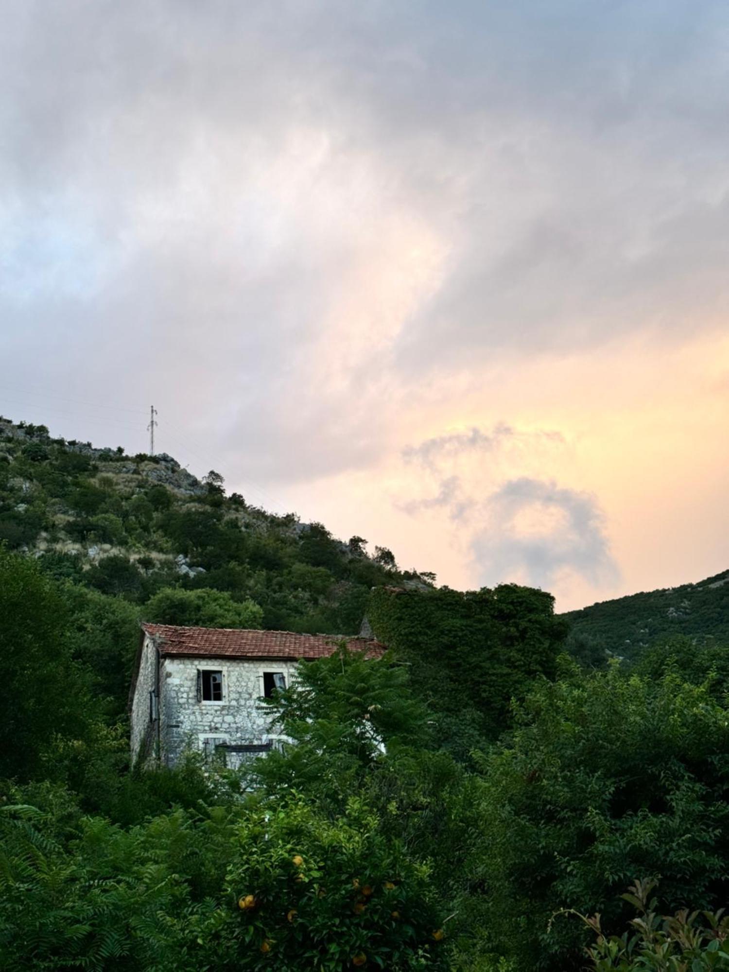 Carine Garden Διαμέρισμα Risan Εξωτερικό φωτογραφία