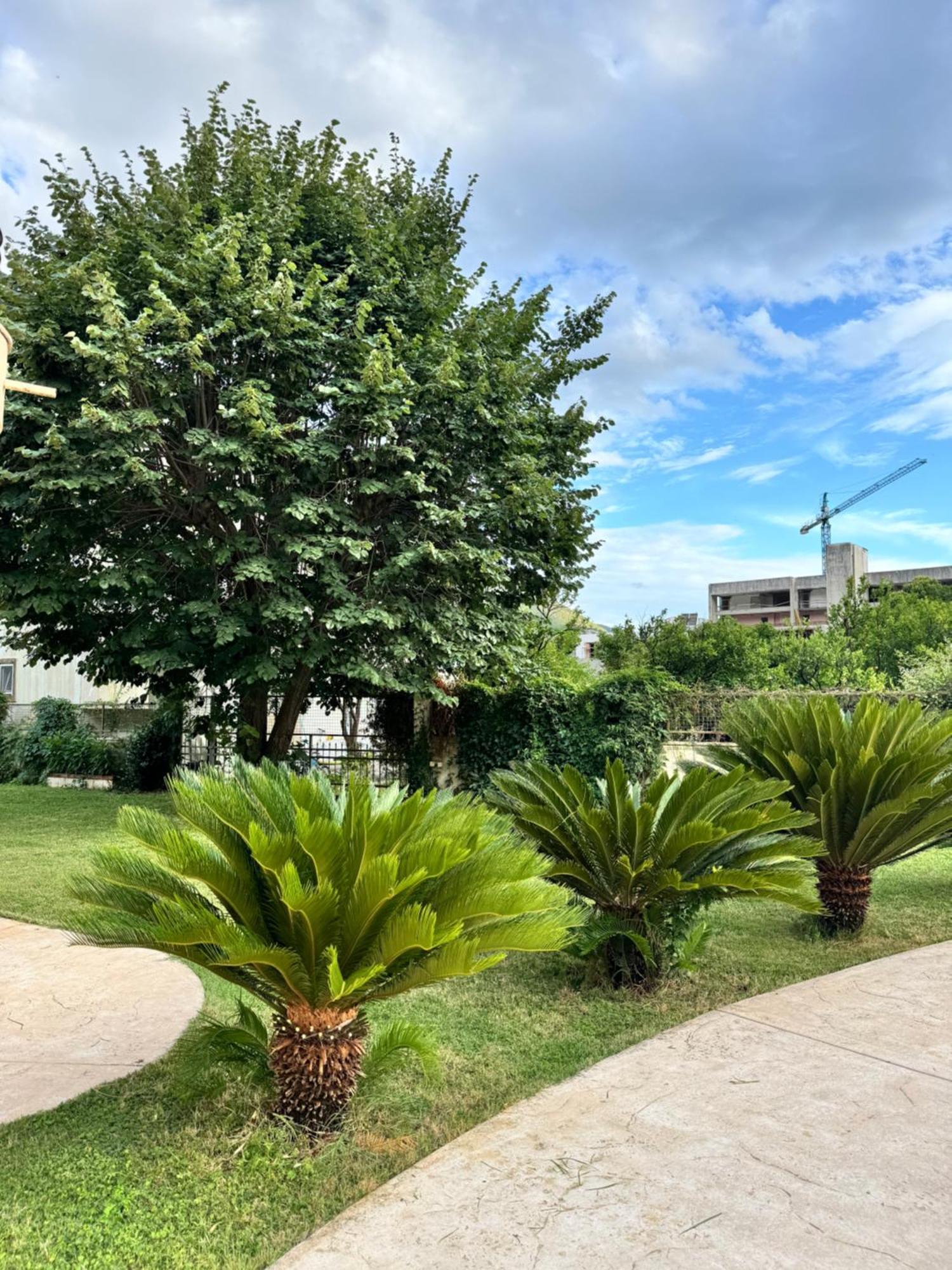 Carine Garden Διαμέρισμα Risan Εξωτερικό φωτογραφία