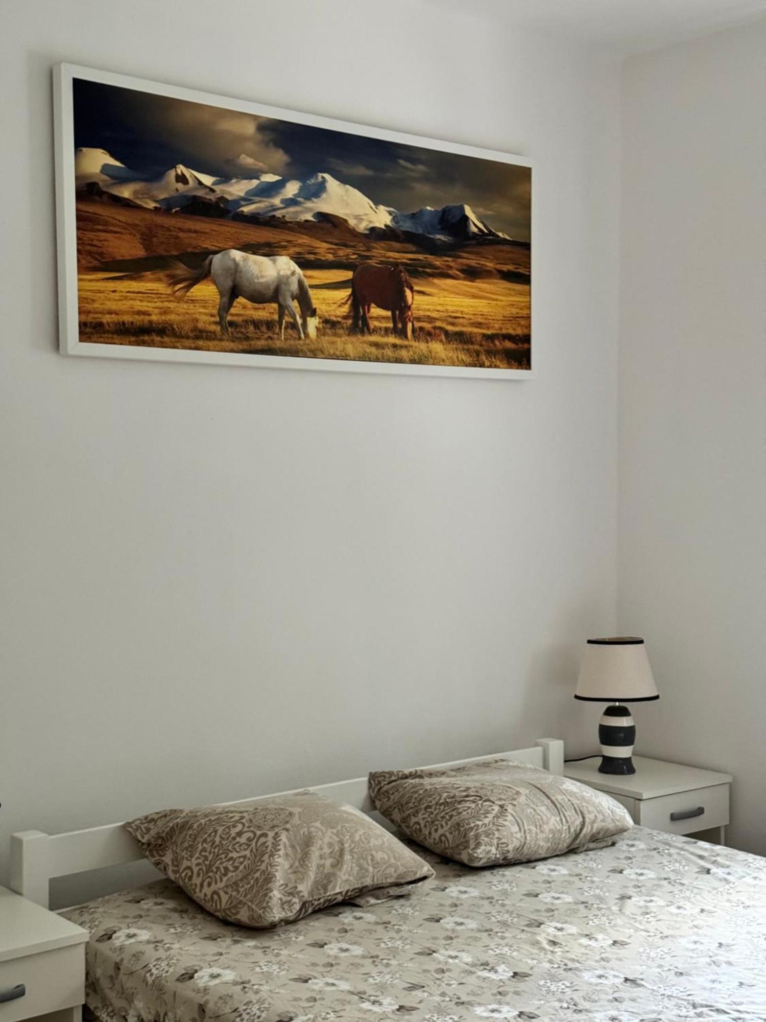 Carine Garden Διαμέρισμα Risan Εξωτερικό φωτογραφία