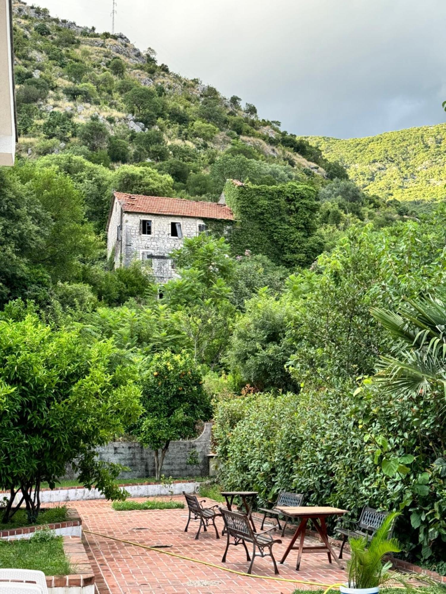 Carine Garden Διαμέρισμα Risan Εξωτερικό φωτογραφία